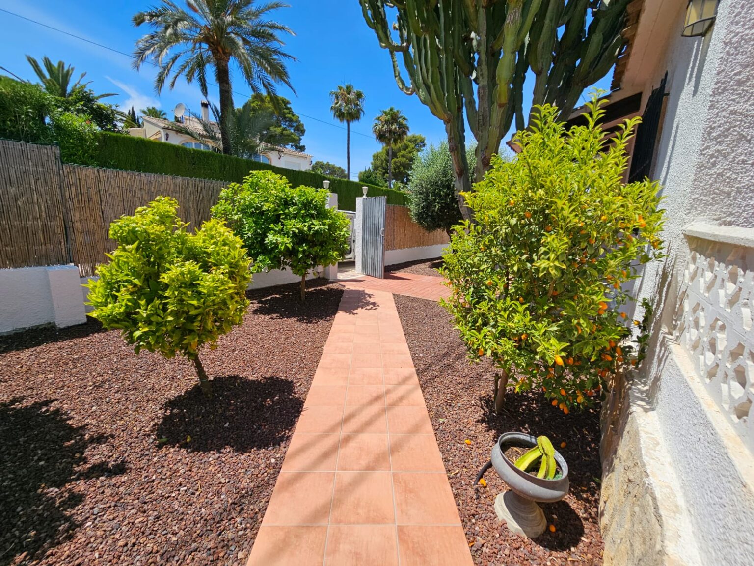 Jardín con camino de piedra y vegetación cuidada.